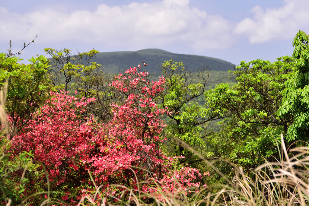 DSC_5361_1821.JPG - 2018鹿崛坪古道+情人湖