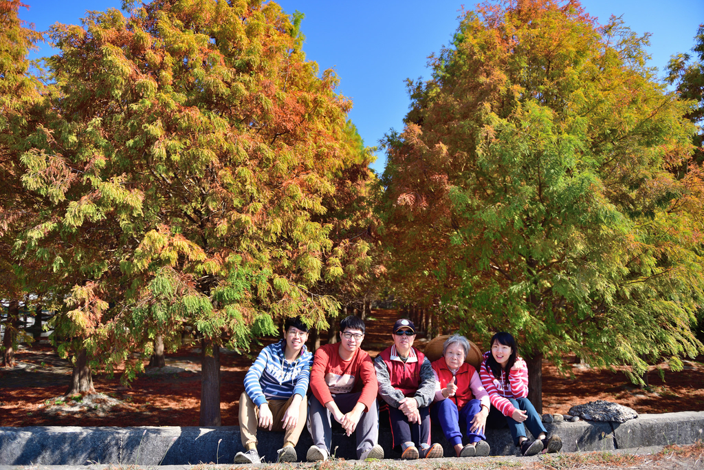 40036905984_2dbdf1013b_k (1).jpg - 魅力小鎮苑裡私房景點