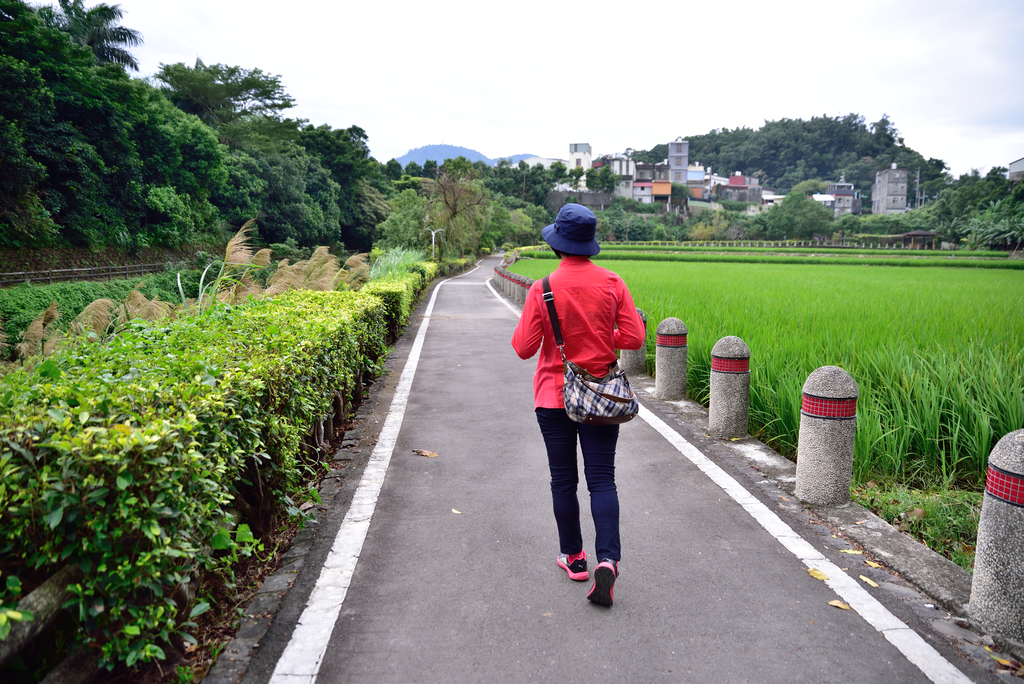 DSC_7168_3002.JPG - 2018三坑自然生態公園
