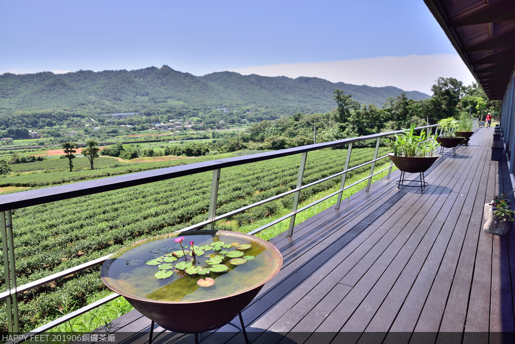 DSC_0256_4598.JPG - 0615銅鑼茶廠