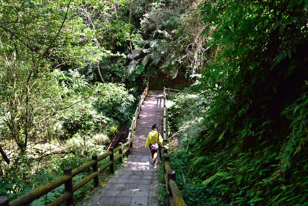 DSC_2703_6002.JPG - 0315三民蝙蝠洞登金平山