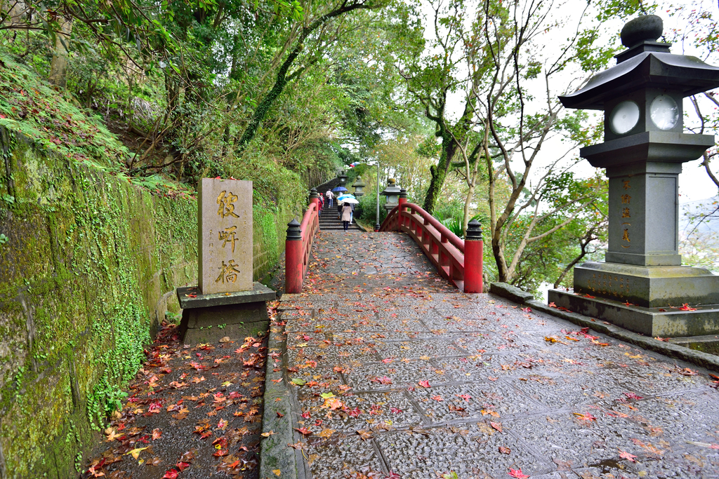 DSC_2367_5841.JPG - 楓情款款—拱北殿2020/01/01