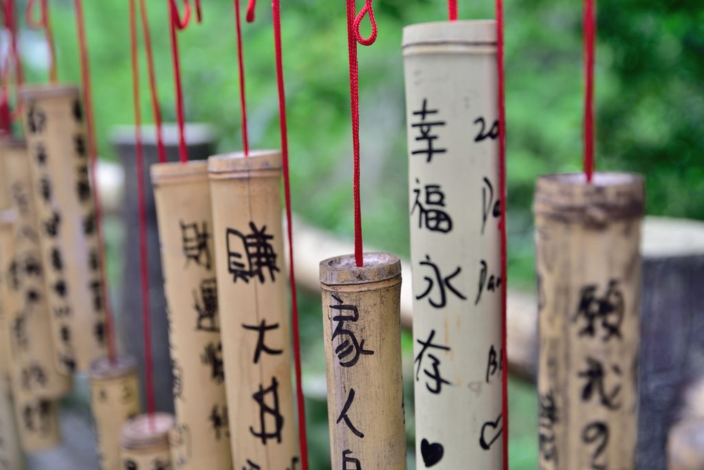 DSC_6359_2517.JPG - 2018平溪孝子山