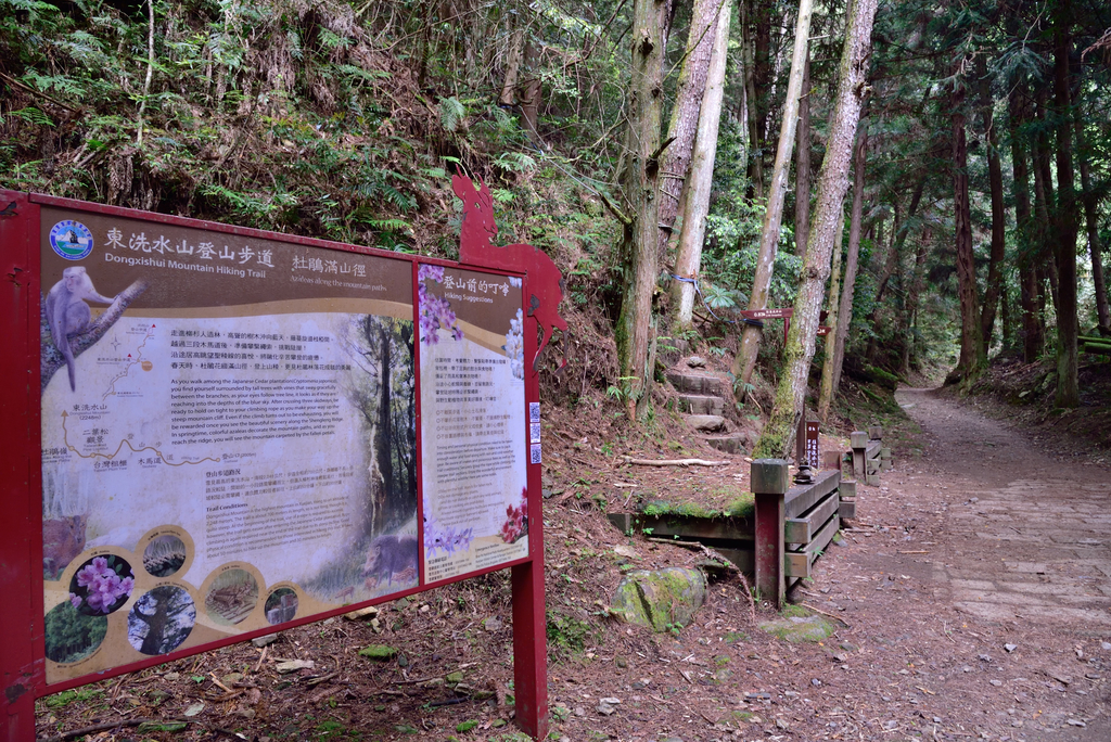 DSC_3409_6322.JPG - 0501北坑山大板根