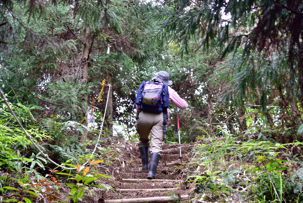 DSC_8019_3367.JPG - 2019向天湖山