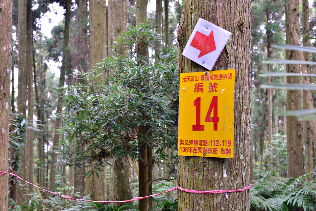 DSC_8057_3392.JPG - 2019向天湖山