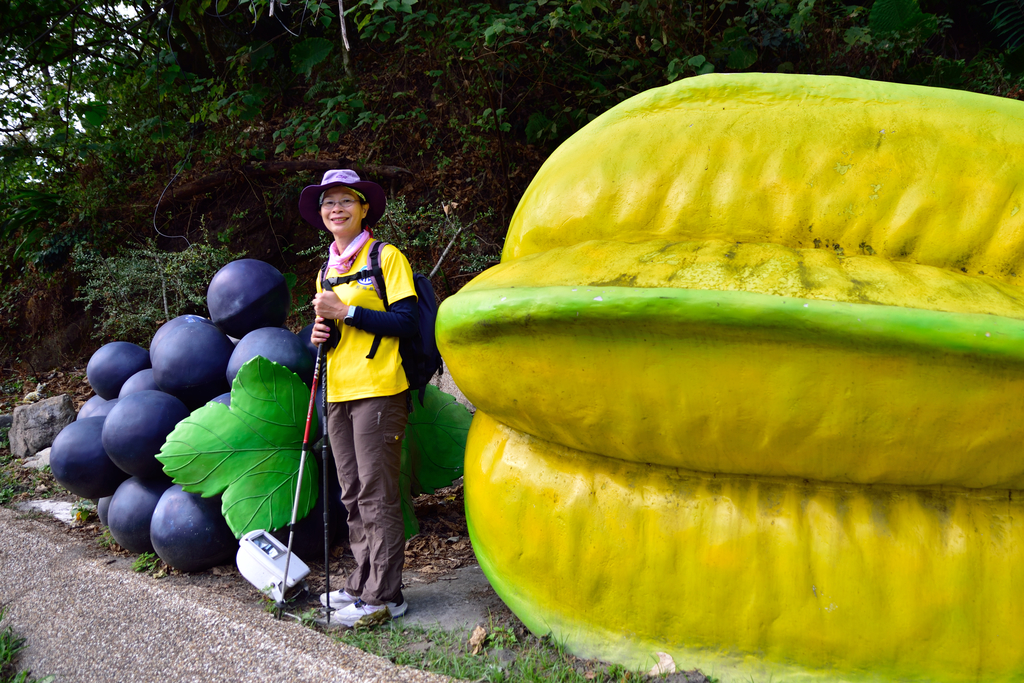 DSC_5672_7717.JPG - 20201226大克山