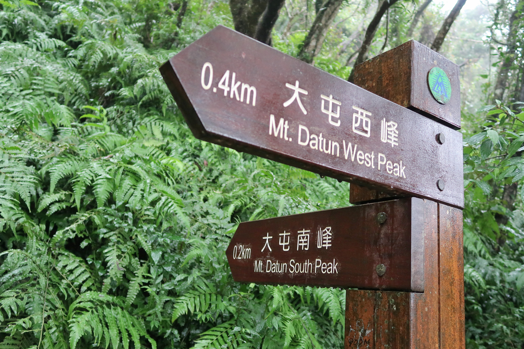 陽明山東西大縱走Part 1