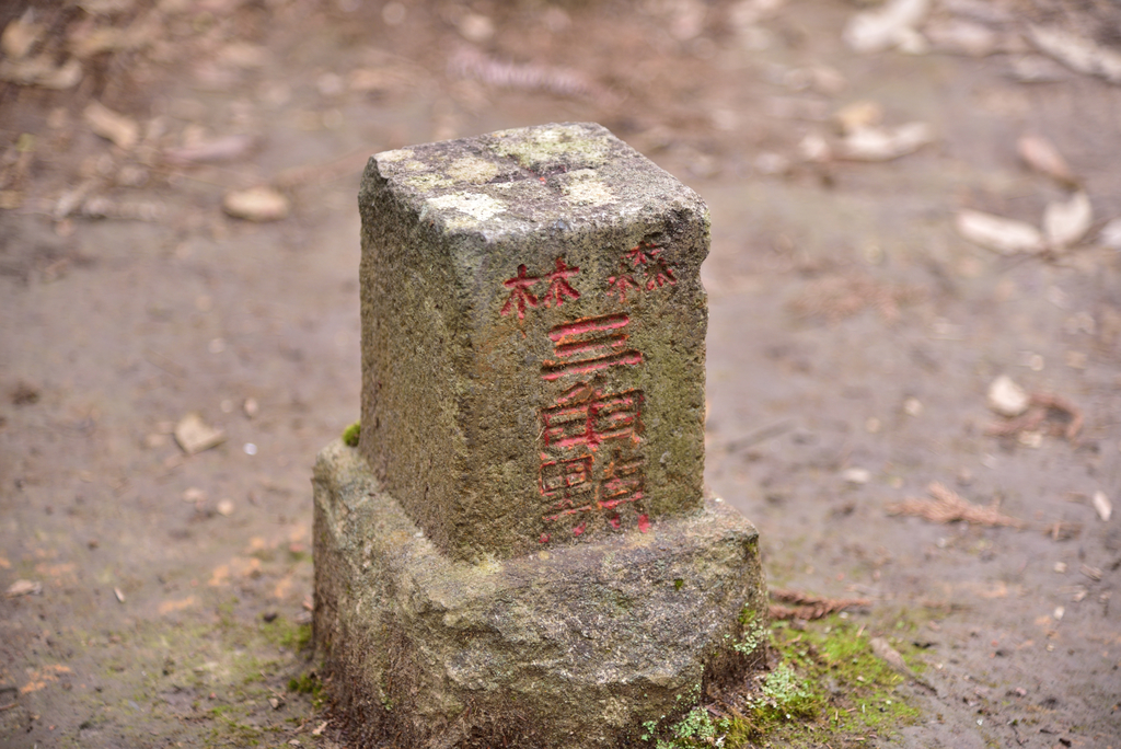 DSC_8022_3370.JPG - 2019向天湖山