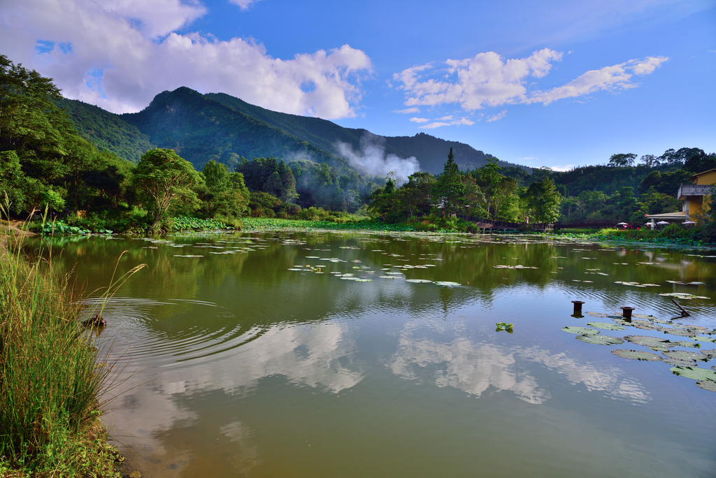 DSC_0849_4866.JPG - 20190720登向天湖山