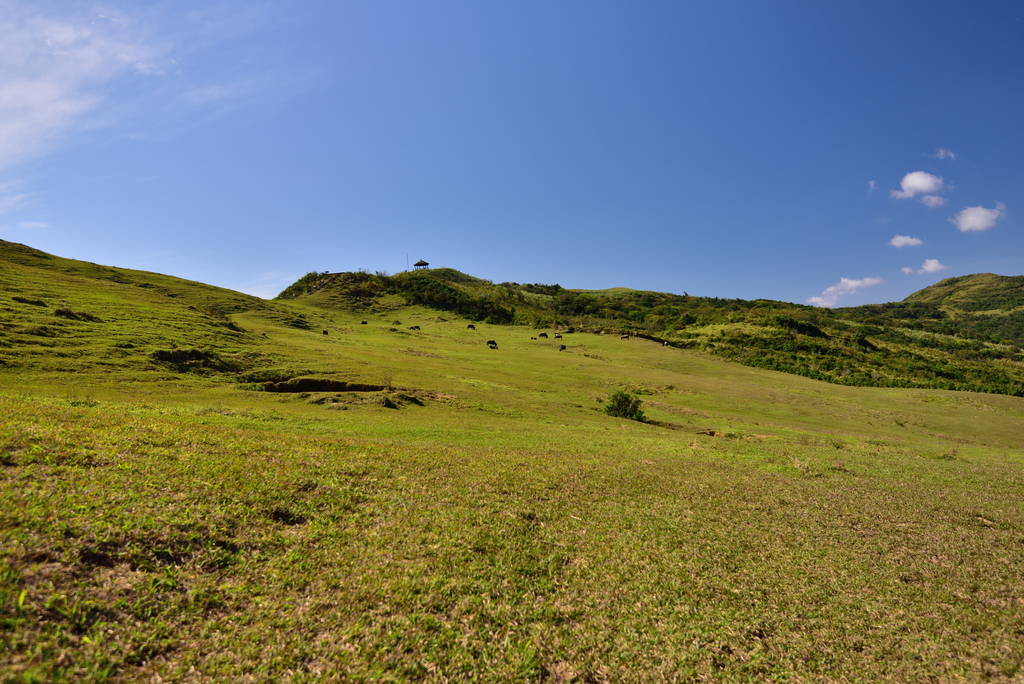 DSC_6129_7961.JPG - 20210221桃源谷