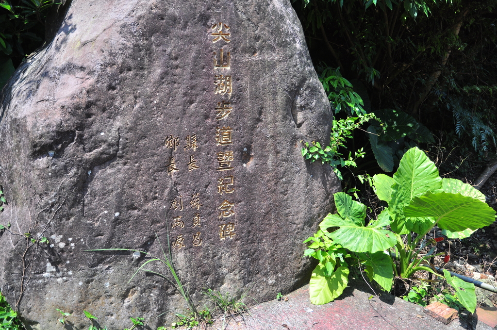 DSC_2900.JPG - 2017青山瀑布健行順遊富貴角燈塔