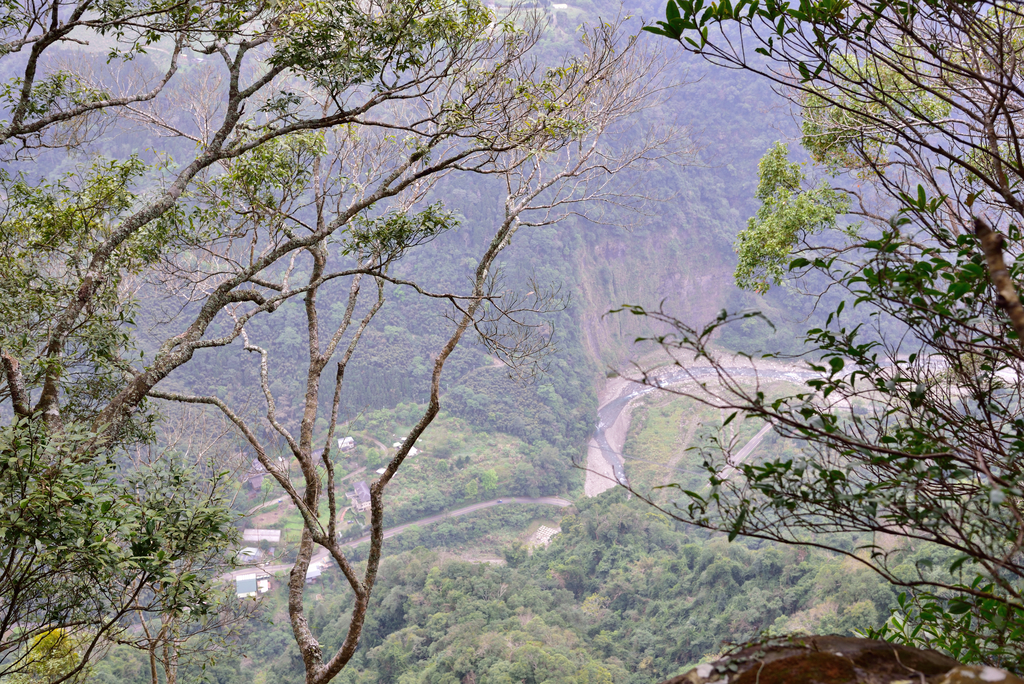 DSC_8045_3386.JPG - 2019向天湖山