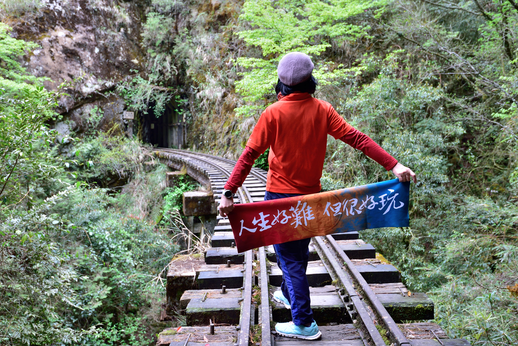 DSC_3059_6141.JPG - 阿里山眠月線