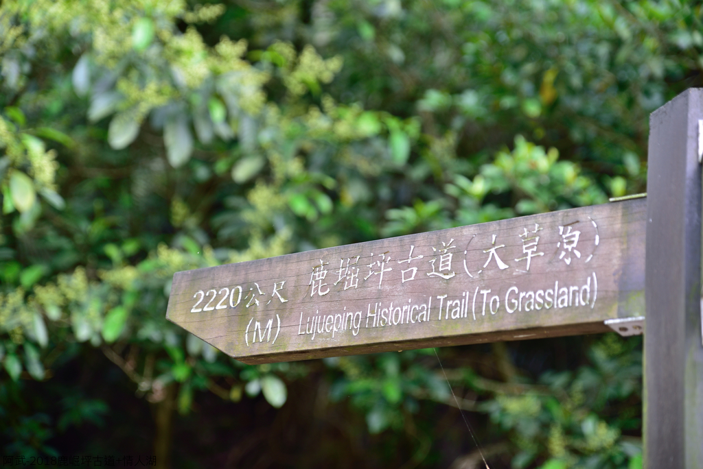 DSC_5306_1781.JPG - 2018鹿崛坪古道+情人湖