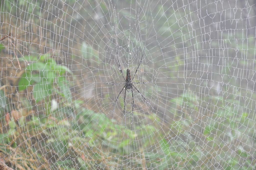DSC_8692.JPG - 201609登關刀山