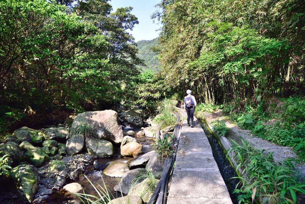 DSC_5307_1782.JPG - 2018鹿崛坪古道+情人湖