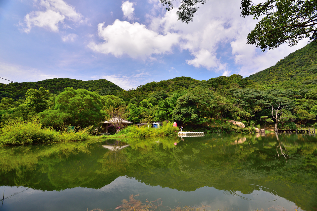 DSC_0993_4955.JPG - 2019新山夢湖