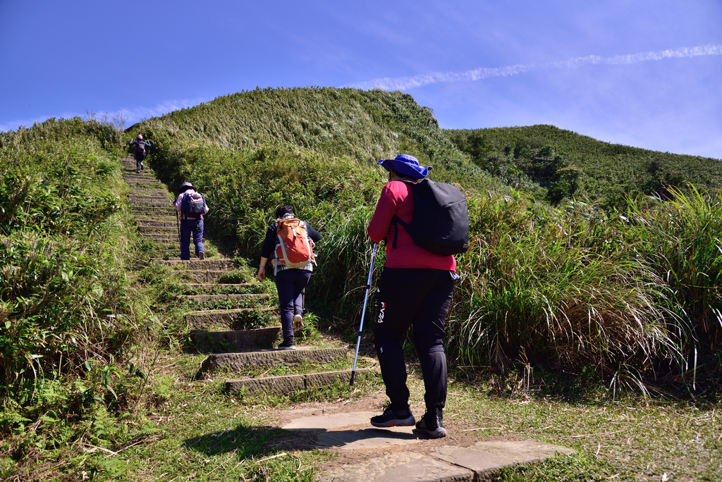 DSC_6227_8003.JPG - 20210221桃源谷