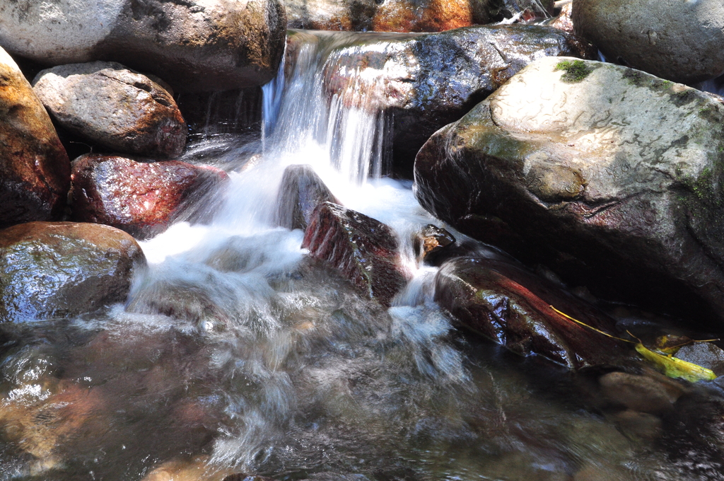 DSC_2987.JPG - 2017青山瀑布健行順遊富貴角燈塔