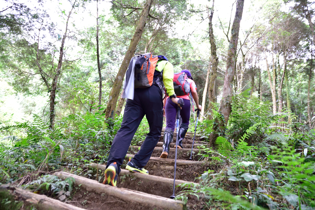 DSC_5482_1898.JPG - 2018加里山