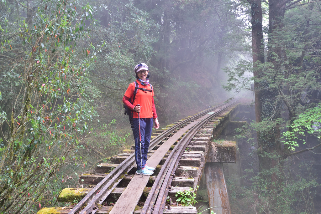 DSC_3140_6180.JPG - 阿里山眠月線
