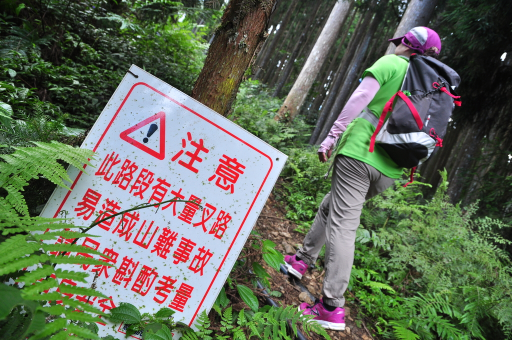 DSC_3079.JPG - 2017民都有山暨清泉攬勝