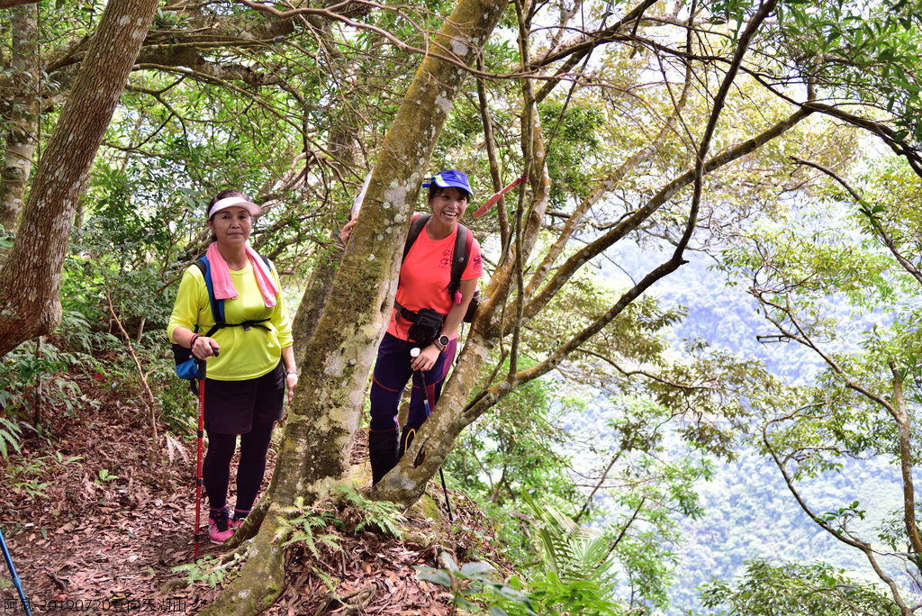 DSC_0685_4790.JPG - 20190720登向天湖山