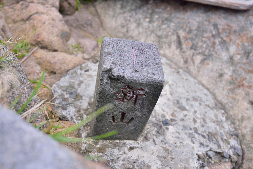 DSC_1031_4970.JPG - 2019新山夢湖