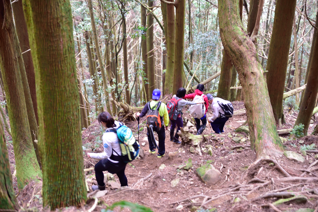 DSC_5717_2059.JPG - 2018加里山