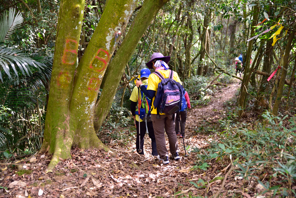 DSC_5663_7714.JPG - 20201226大克山