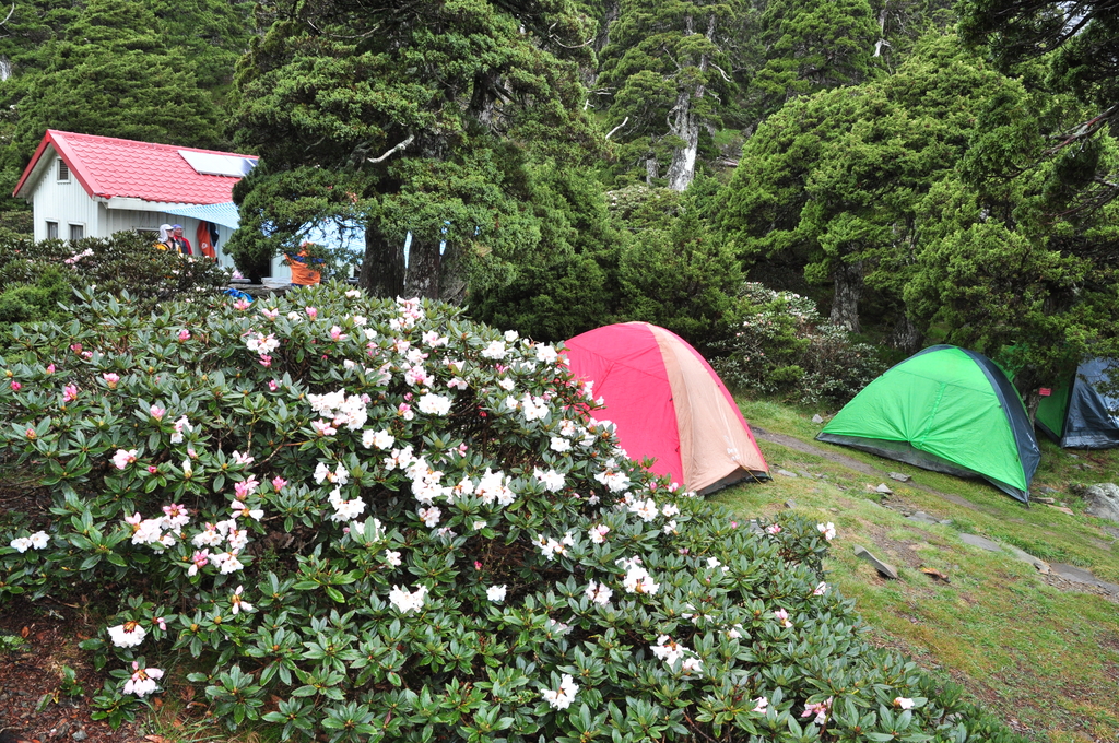 DSC_2130.JPG - 2017雪山西稜