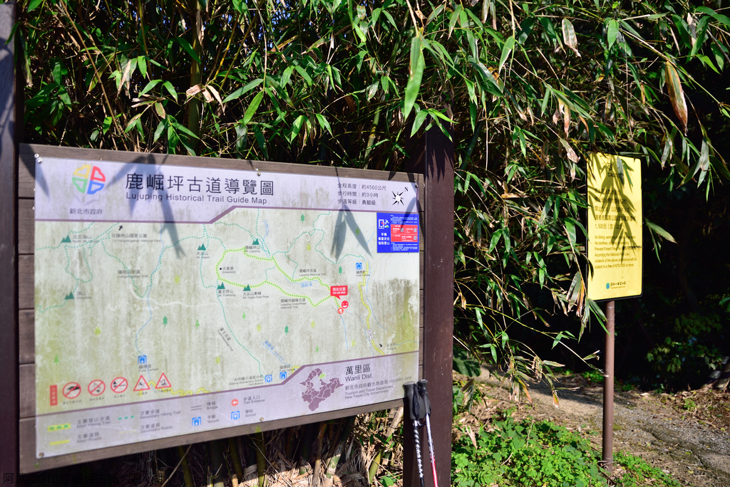 DSC_5299_1778.JPG - 2018鹿崛坪古道+情人湖