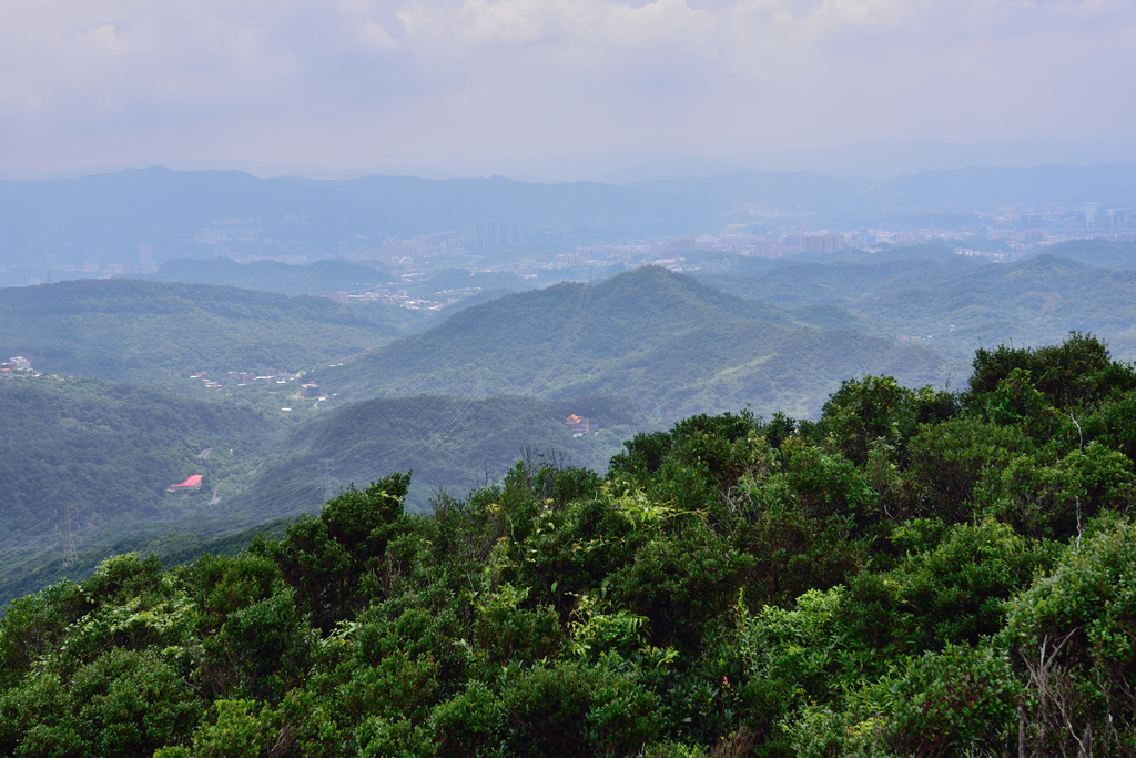 DSC_1035_4972.JPG - 2019新山夢湖
