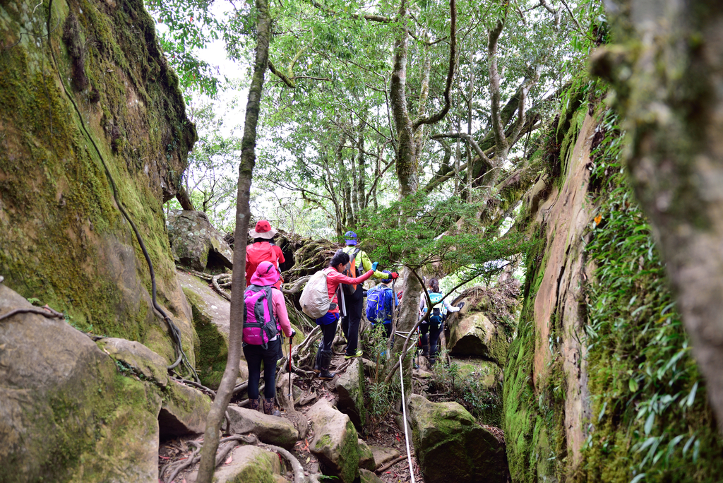 DSC_5676_2028.JPG - 2018加里山
