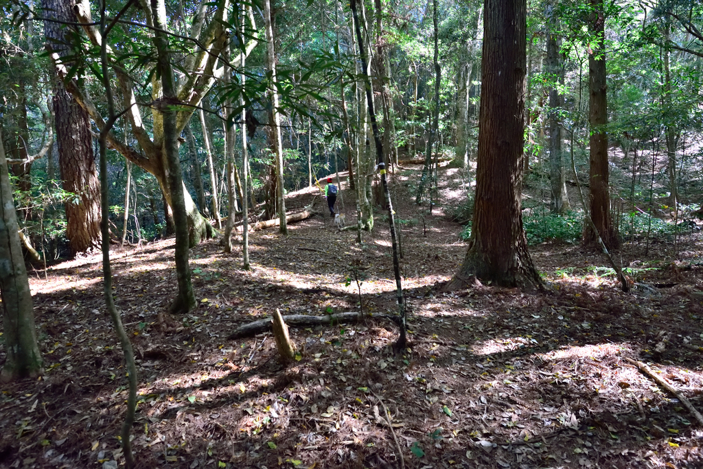 DSC_5828_7787.JPG - 20210124芝生毛台山