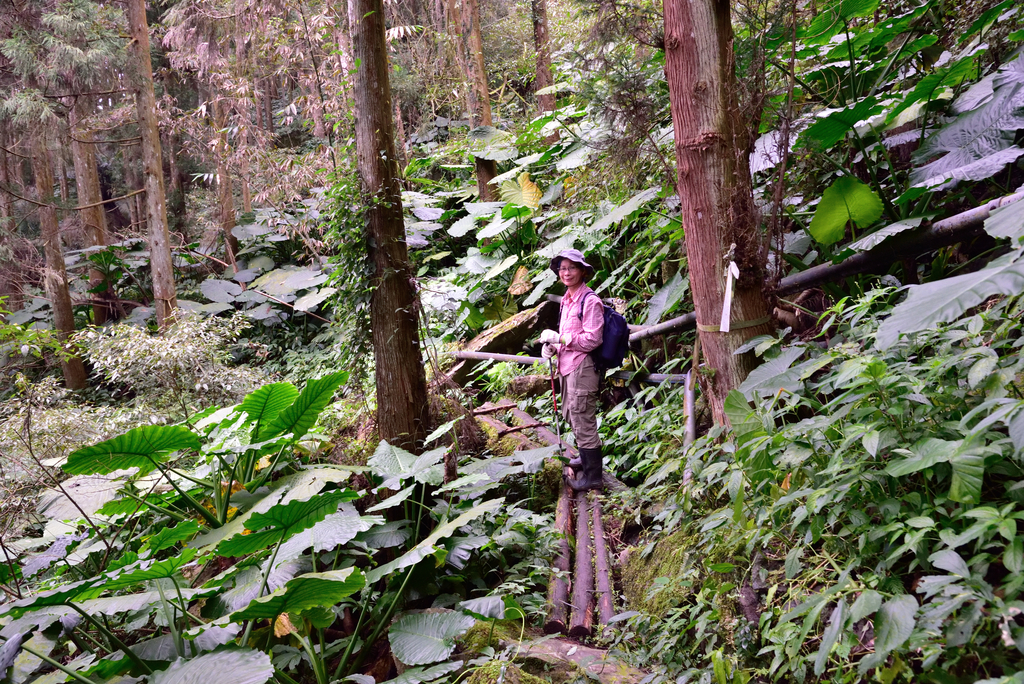 DSC_8122_3415.JPG - 2019向天湖山