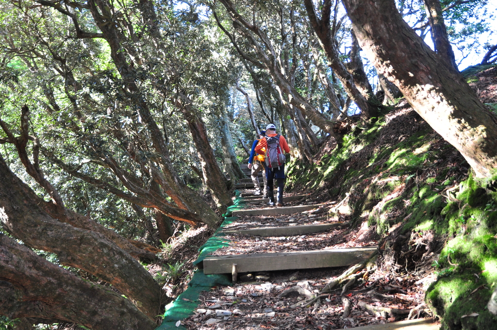 DSC_2547.JPG - 2017北大武山