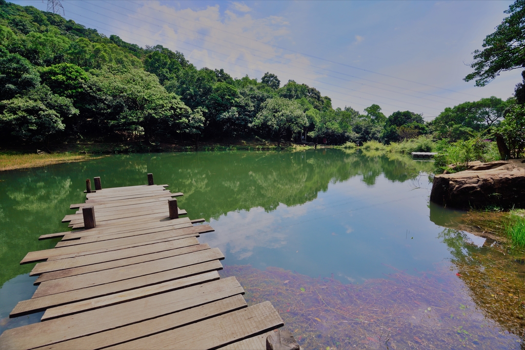 DSC_1007_4963 (3).JPG - 2019新山夢湖