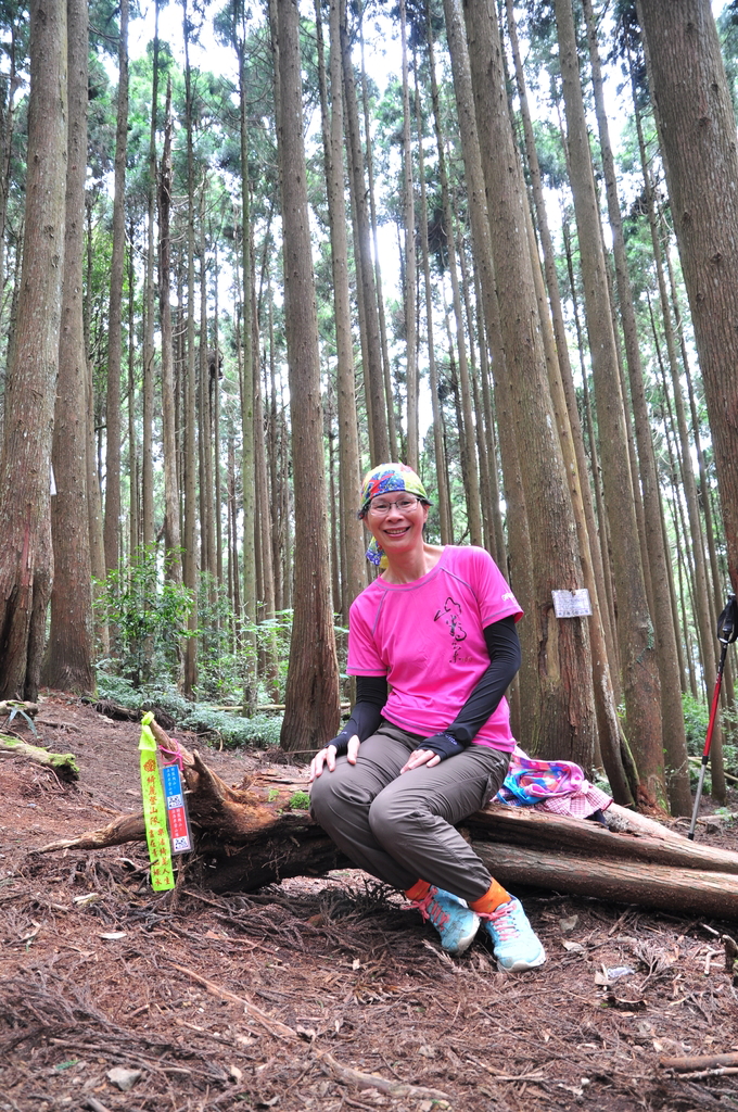 DSC_3178.JPG - 2017民都有山暨清泉攬勝