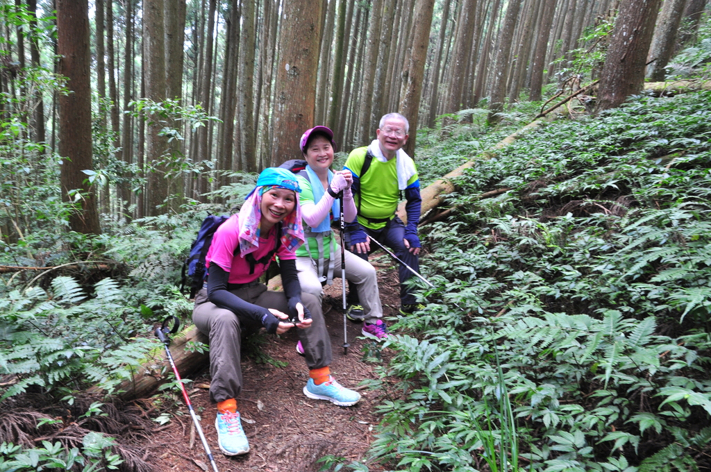 DSC_3111.JPG - 2017民都有山暨清泉攬勝