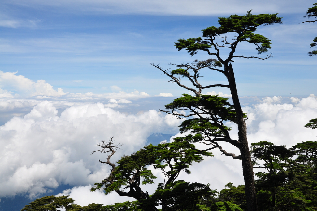 DSC_2599.JPG - 2017北大武山