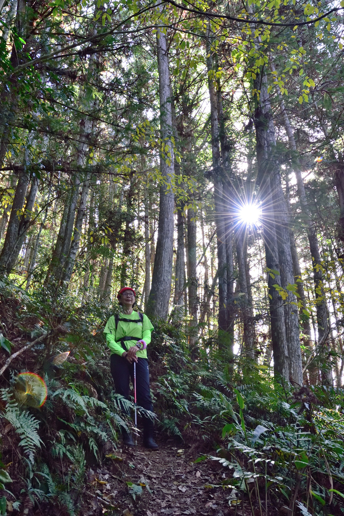 DSC_5798_7770.JPG - 20210124芝生毛台山