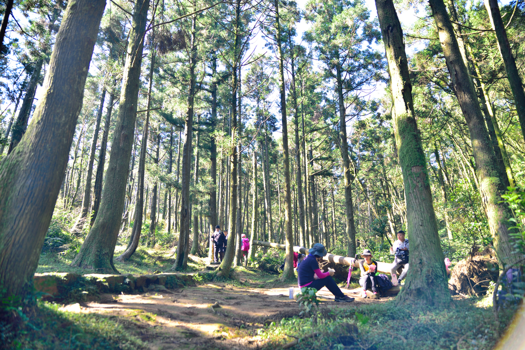 DSC_3349_693.JPG - 2017風櫃嘴登竹篙山