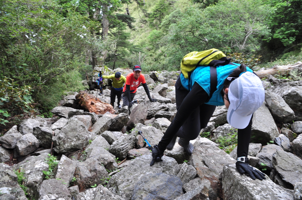 DSC_8341.JPG - 201609玉山主東峰