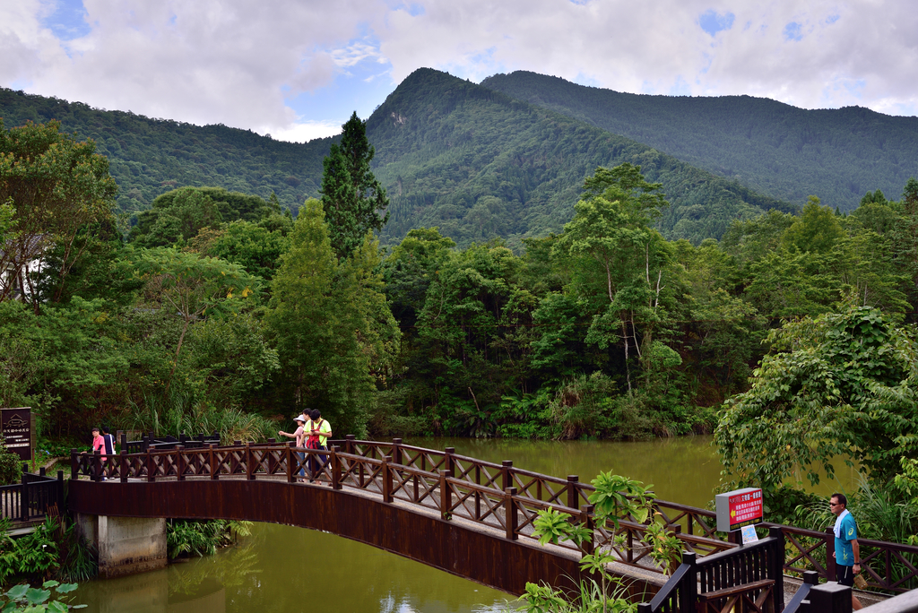 DSC_0821_4853.JPG - 20190720登向天湖山