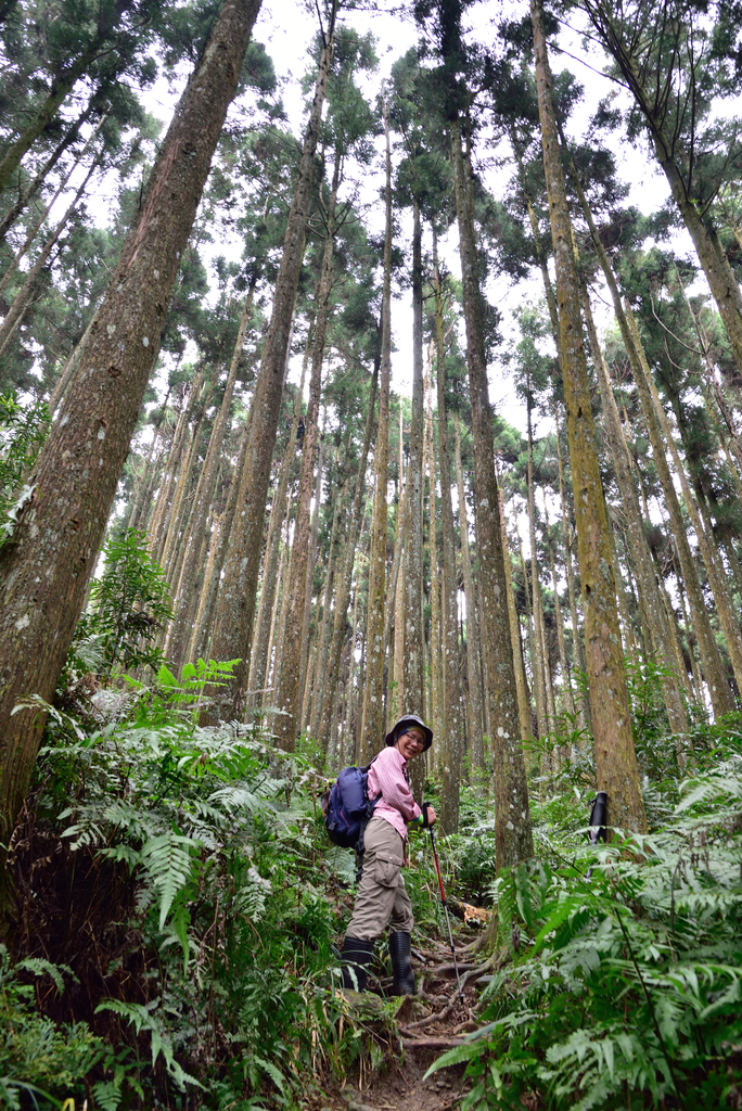 DSC_8070_3397.JPG - 2019向天湖山