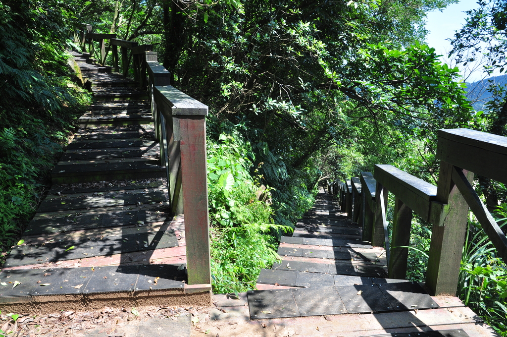 DSC_2905.JPG - 2017青山瀑布健行順遊富貴角燈塔
