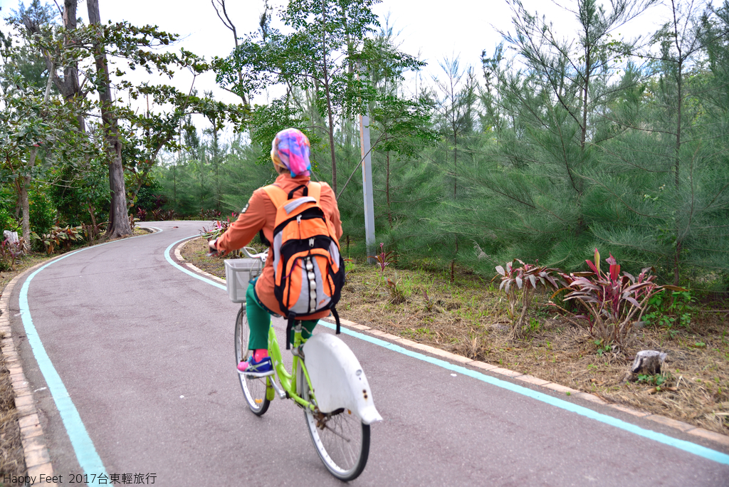 DSC_2851_484.JPG - 2017 台東輕旅行