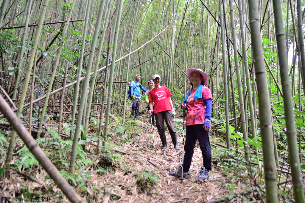 DSC_6646_2734.JPG - 2018新竹五指山